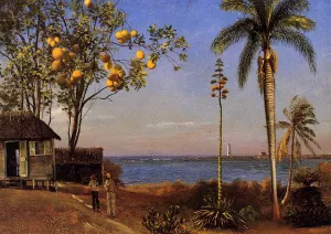 A View in the Bahamas by Albert Bierstadt Oil Painting