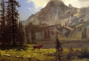 Call of the Wild by Albert Bierstadt Oil Painting