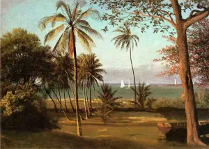 Florida Scene by Albert Bierstadt Oil Painting