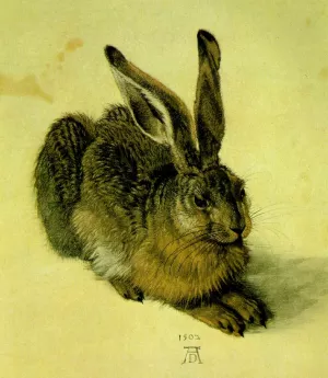 A Young Hare Oil painting by Albrecht Duerer