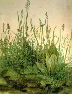 The Large Turf by Albrecht Duerer Oil Painting