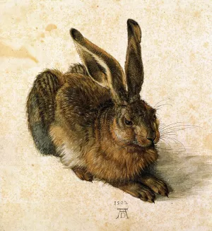 Young Hare by Albrecht Duerer Oil Painting