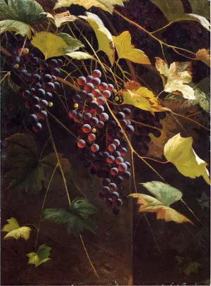 Wild Grapes by Andrew J. H. Way Oil Painting