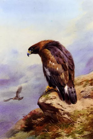 A Golden Eagle Oil painting by Archibald Thorburn
