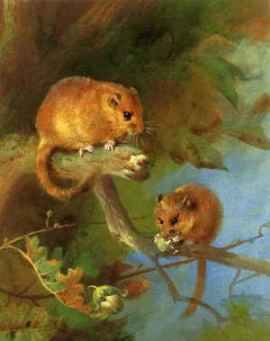 Dormice by Archibald Thorburn Oil Painting