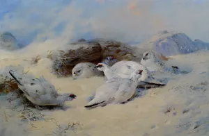 Ptarmigan Seeking Shelter by Archibald Thorburn Oil Painting