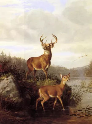 Buck and Doe by Arthur Fitzwilliam Tait Oil Painting