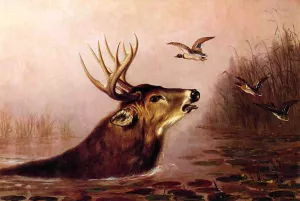 Deer in Marsh by Arthur Fitzwilliam Tait Oil Painting