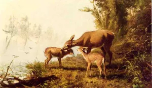 Deer in the Woods by Arthur Fitzwilliam Tait Oil Painting