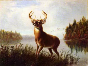 Eight Point Stag by Arthur Fitzwilliam Tait Oil Painting