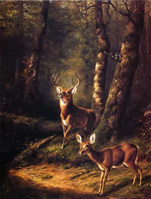 The Forest: Adirondacks by Arthur Fitzwilliam Tait Oil Painting