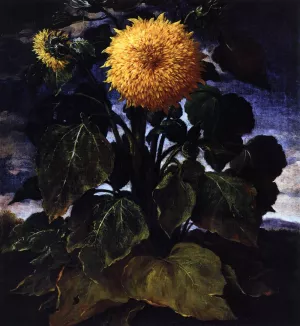 Flower by Bartolomeo Bimbi Oil Painting