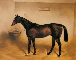 The Racehorse Abbeywood in a Stable by Basil Nightingale Oil Painting