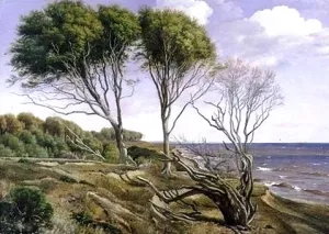 A Coastal Landscape by Carl Frederic Aagaard Oil Painting