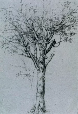 Study of a Tree by Cesare Da Sesto Oil Painting