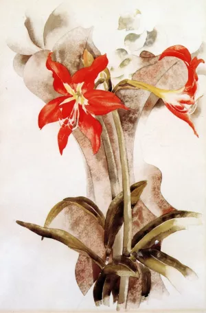 Amaryllis by Charles Demuth Oil Painting