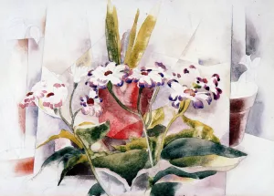 Cineraria by Charles Demuth Oil Painting