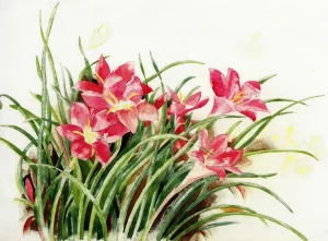 Pink Lilies and Butterflies by Charles Demuth Oil Painting