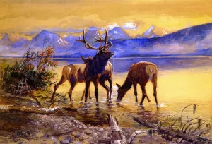 Elk in Lake McDonald by Charles Marion Russell Oil Painting