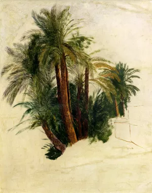 Study of Palm Trees by Edward Lear Oil Painting