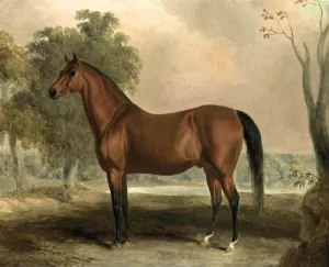 Bertrand, by Sir Archy Oil painting by Edward Troye