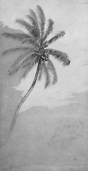 Palm Tree by Elihu Vedder Oil Painting