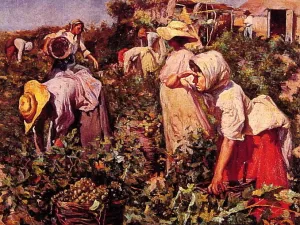 Picking Grapes by Federico Godoy y Castro Oil Painting