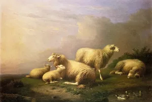 A Flock of Sheep Resting by a Pond by Francois Van Severdonck Oil Painting