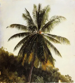 Palm Trees, West Indies by Frederic Edwin Church Oil Painting