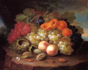 Still Life with Fruit and Bird's Nest by George Forster Oil Painting