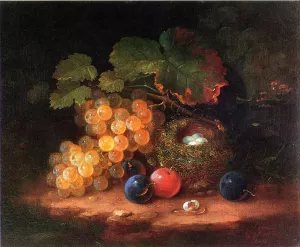 Still Life with Fruit, Bird's Nest and Broken Egg by George Forster Oil Painting