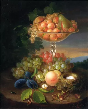Still Life with Fruit, Nest of Eggs and Insects by George Forster Oil Painting
