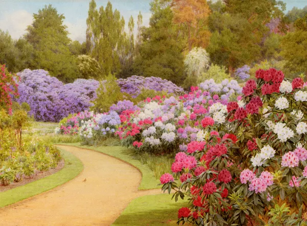 The Rhododendron Walk Oil painting by George Marks