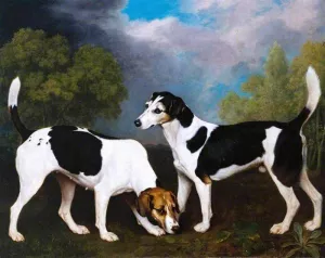 A Couple of Foxhounds by George Stubbs Oil Painting