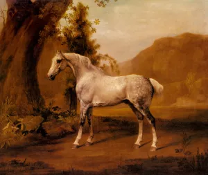 A Grey Stallion In A Landscape by George Stubbs Oil Painting