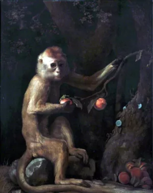 A Monkey by George Stubbs Oil Painting