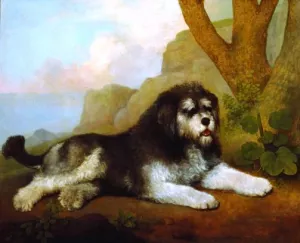 A Rough Dog by George Stubbs Oil Painting