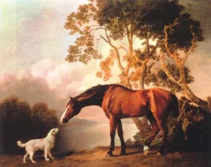 Bay Horse and White Dog by George Stubbs Oil Painting