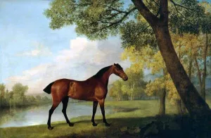 Bay Hunter by a Lake by George Stubbs Oil Painting