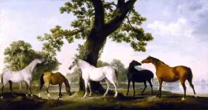 Five Brood Mares at the Duke of Cumberland's Stud Farm in Windsor Great Park by George Stubbs Oil Painting