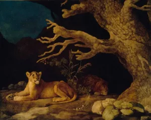 Lion and Lioness by George Stubbs Oil Painting