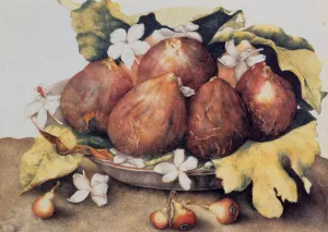 Figs by Giovanna Garzoni Oil Painting