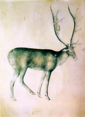 Stag from a Sketch-Book by Giovannino De' Grassi Oil Painting