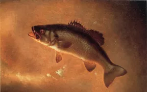 Broadtail Bass by Gurdon Trumbull Oil Painting