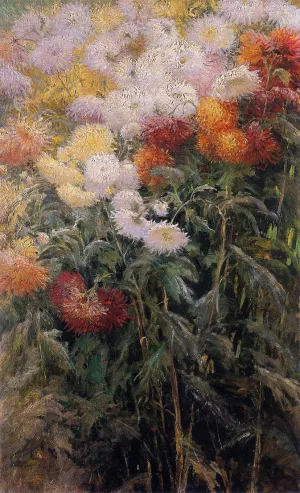 Clump of Chrysanthemums, Garden at Petit Gennevilliers by Gustave Caillebotte Oil Painting