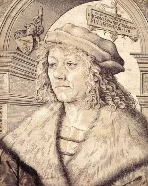 Portrait of Johannes Paumgartner by Hans Burgkmair Oil Painting