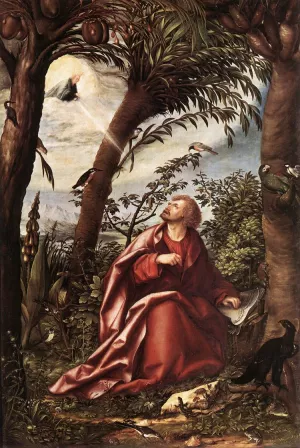 St John the Evangelist in Patmos by Hans Burgkmair Oil Painting