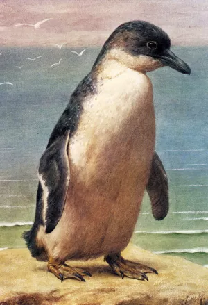 Study of a Penguin by Henry Stacy Marks Oil Painting
