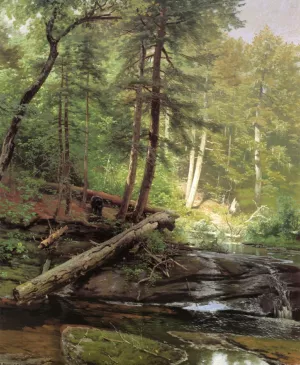 A Bear Approaching a Forest Stream by Herman Herzog Oil Painting