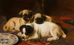 Two Pugs and a Terrier by Horatio Henry Couldery Oil Painting